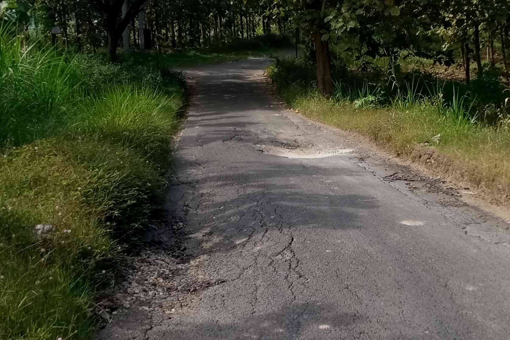 post_photo_1750922359.jpg