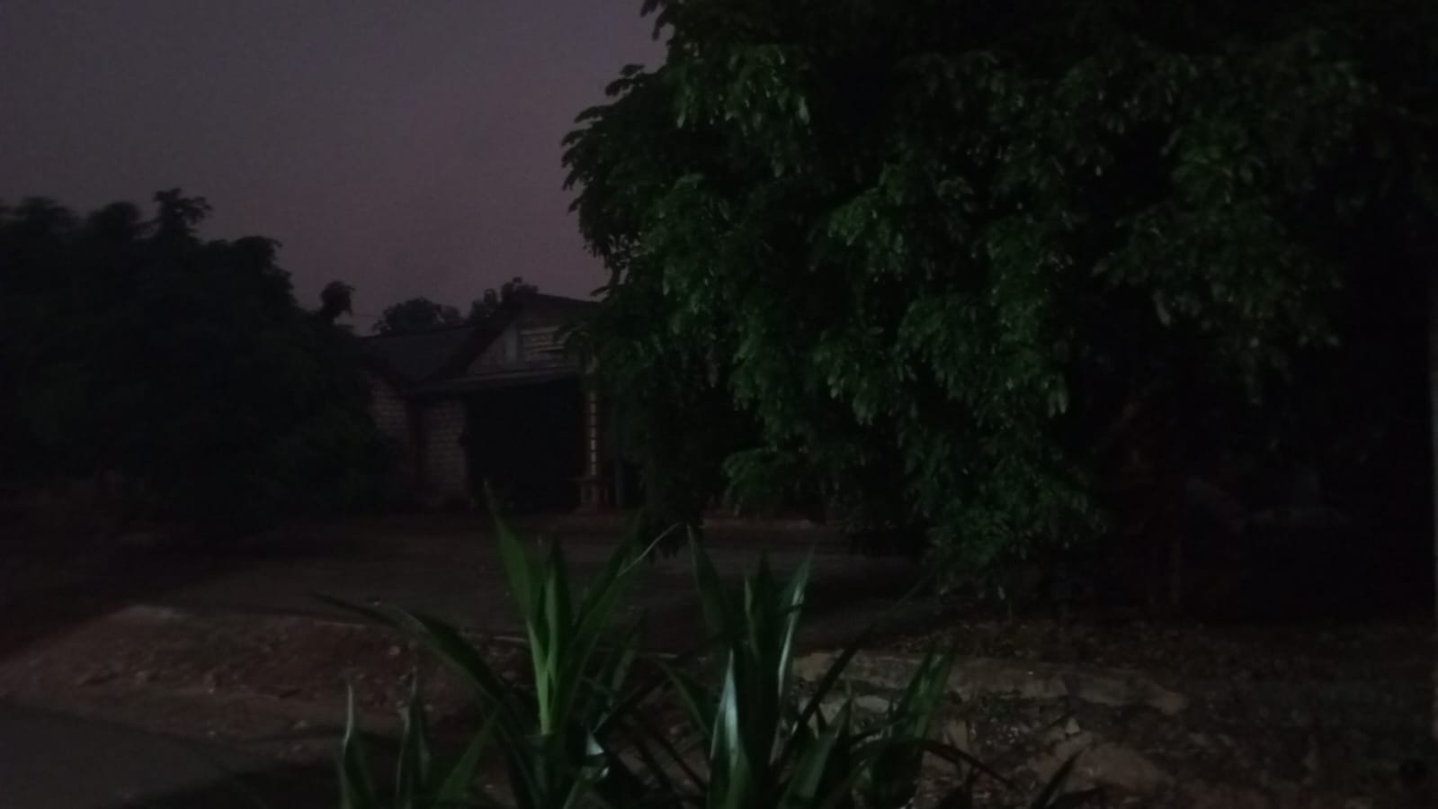 post_photo_1753016438.jpg